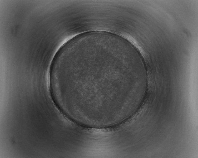 X0000116771032200912311834