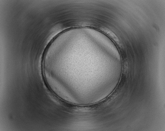 X0000116771039200912311834