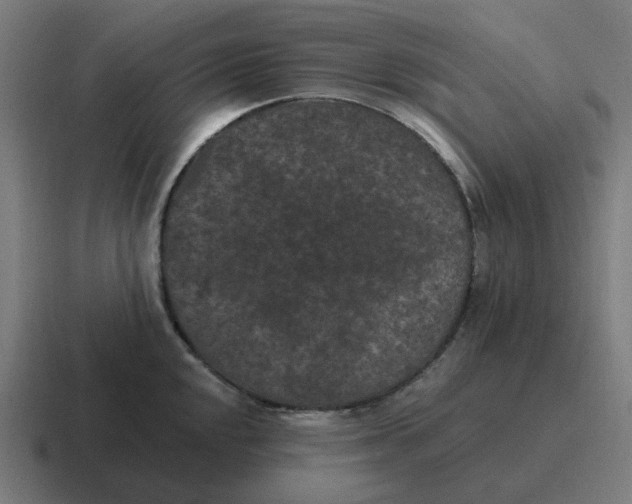 X0000116771048200912311834