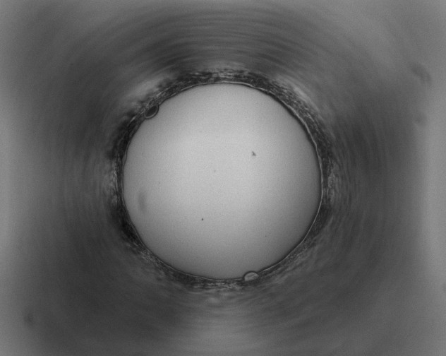 X0000116771062200912311834