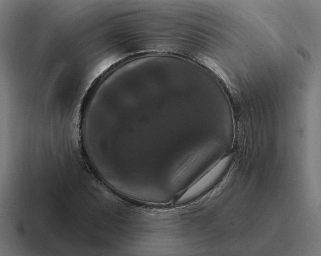 X0000116771071200912311833