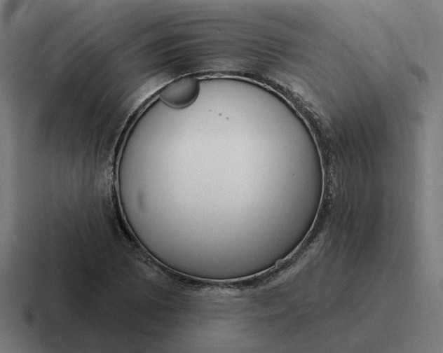 X0000116771073200912311833