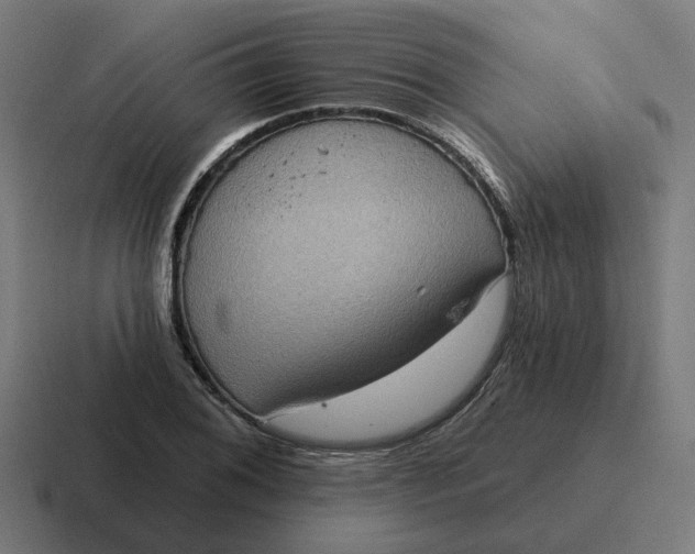 X0000116771076200912311833