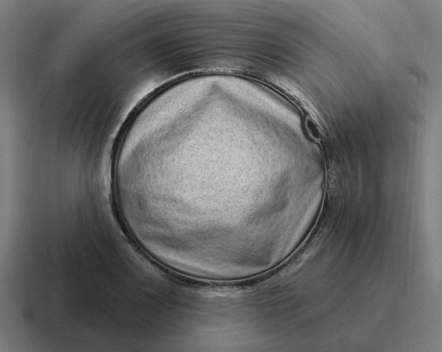 X0000116771083200912311833