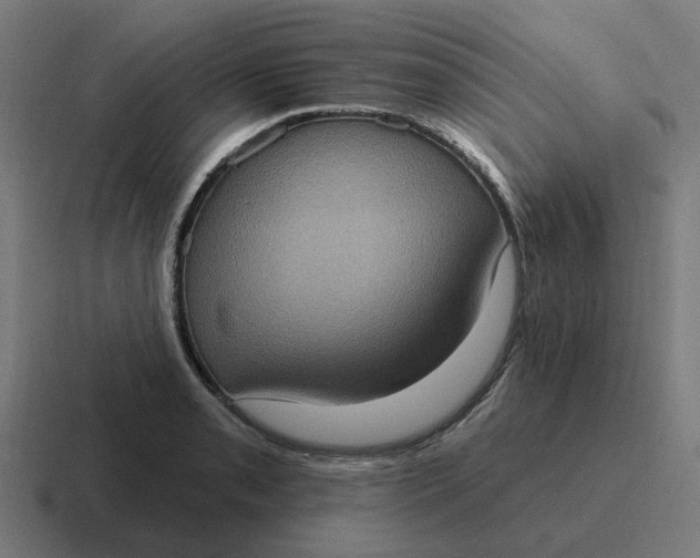 X0000116771085200912311833