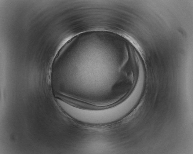 X0000116771097200912311833
