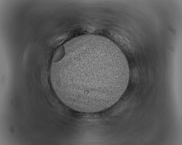 X0000116771105200912311832