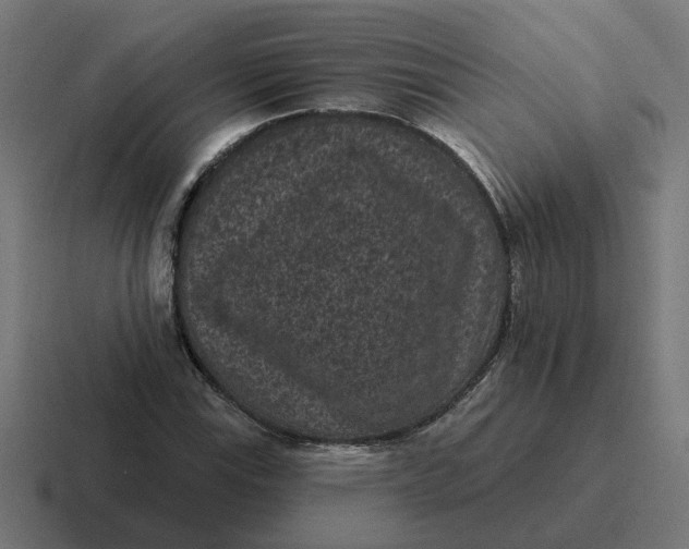 X0000116771115200912311833