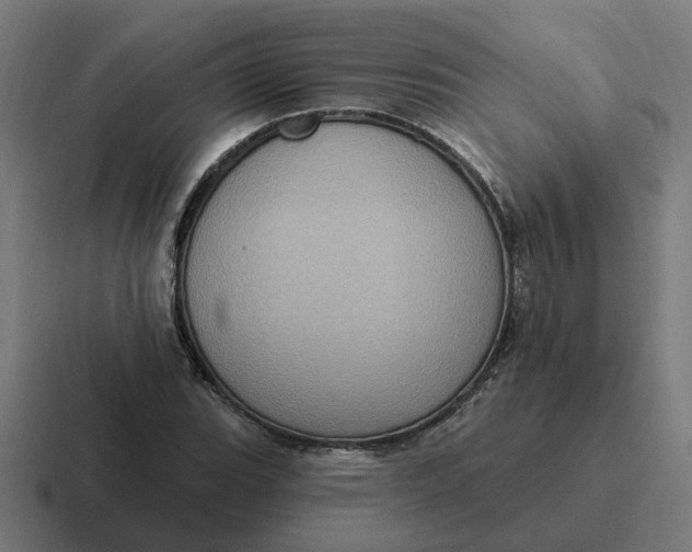 X0000116771119200912311833