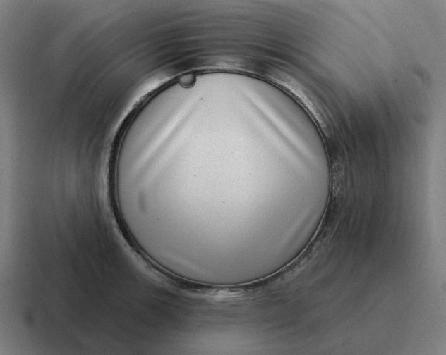 X0000116771139200912311833