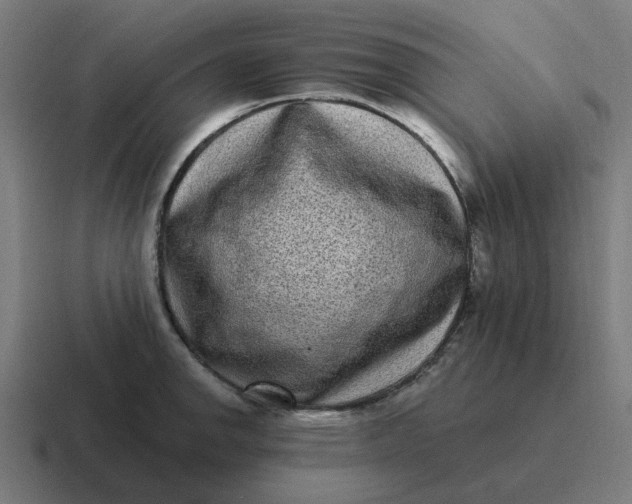 X0000116771142200912311833