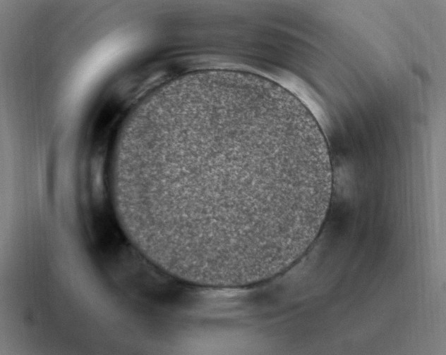 X0000116771150200912311833