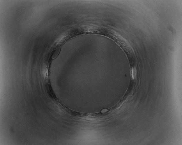 X0000116771155200912311832