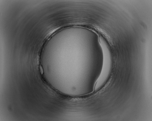 X0000116771169200912311832