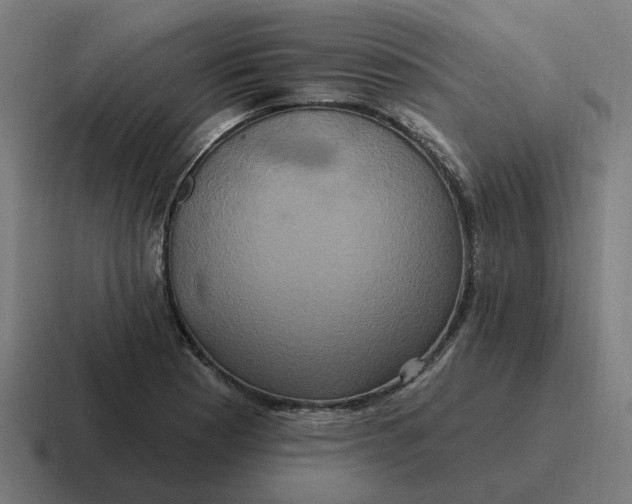 X0000116771177200912311832