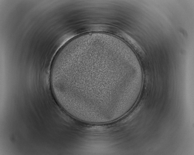 X0000116771178200912311832