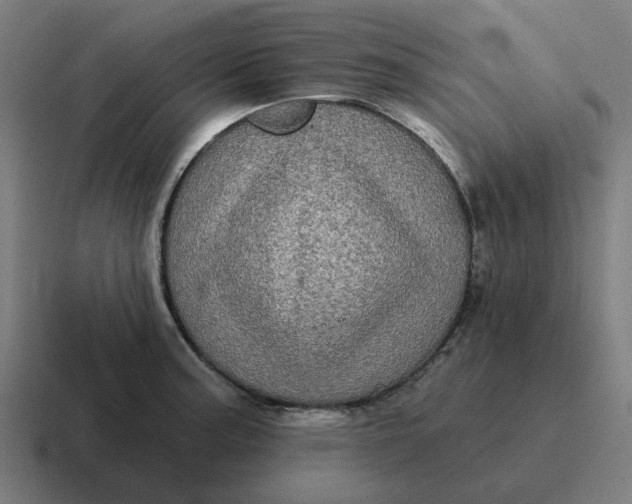 X0000116771187200912311832