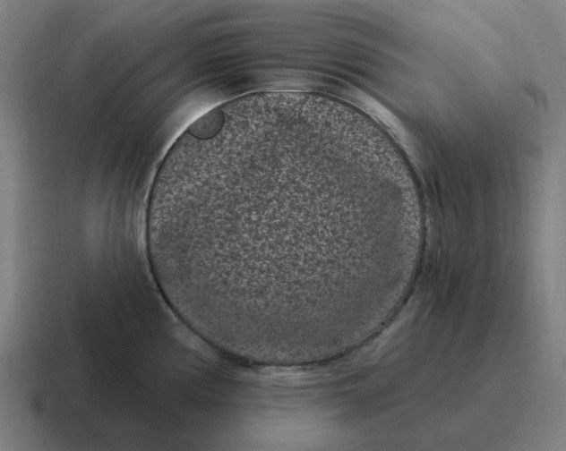 X0000116771194200912311832
