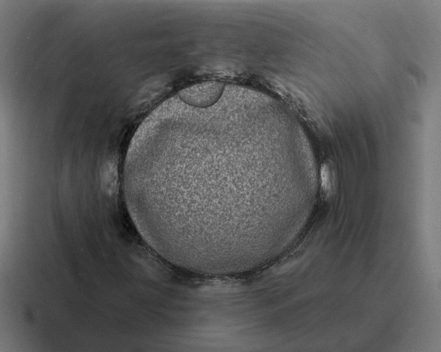 X0000116771203200912311831