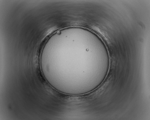 X0000116771211200912311831