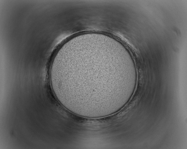 X0000116771215200912311831