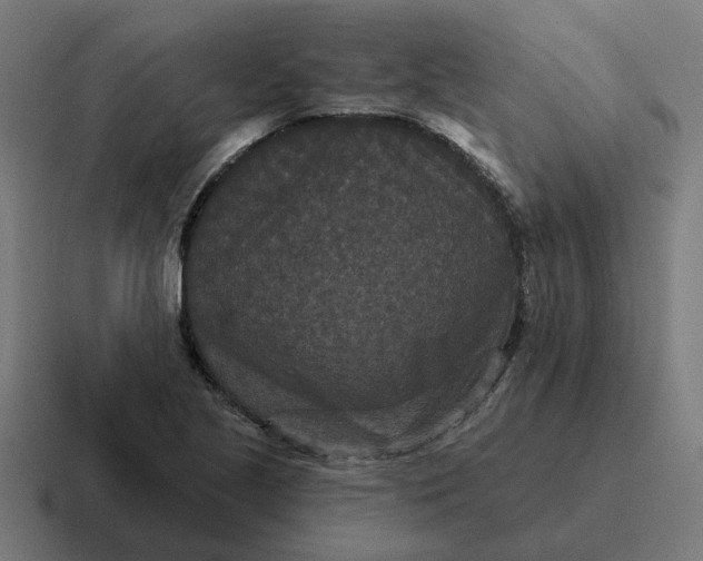X0000116771221200912311831