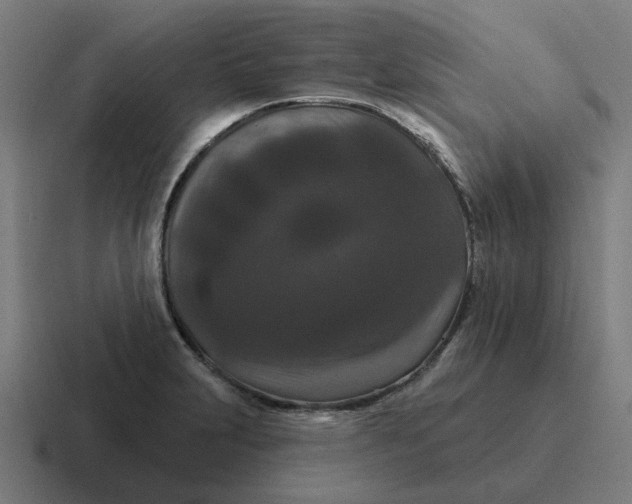X0000116771231200912311832