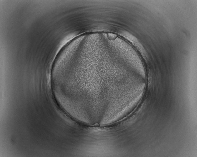 X0000116771234200912311832