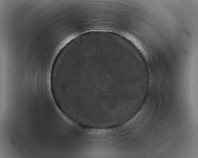 X0000116771237200912311832