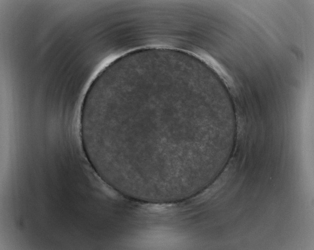 X0000116771240200912311832