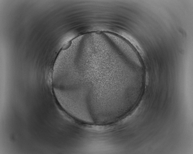 X0000116771241200912311832