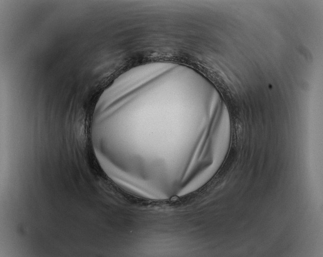 X0000116771250200912311831