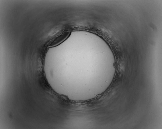 X0000116771253200912311831