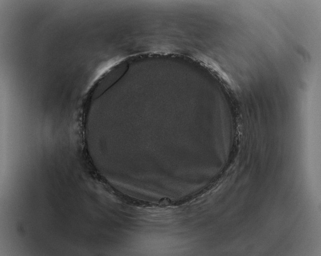 X0000116771256200912311831