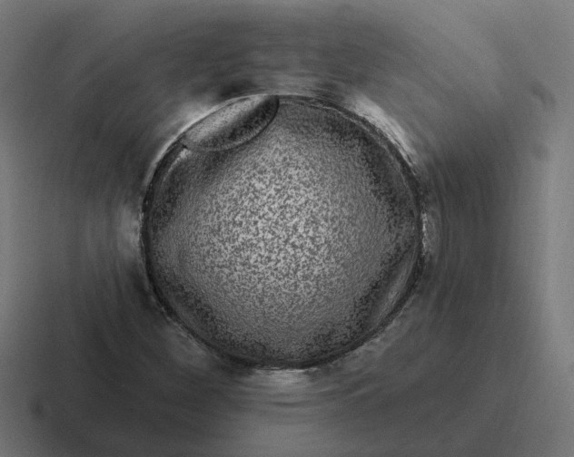 X0000116771260200912311831
