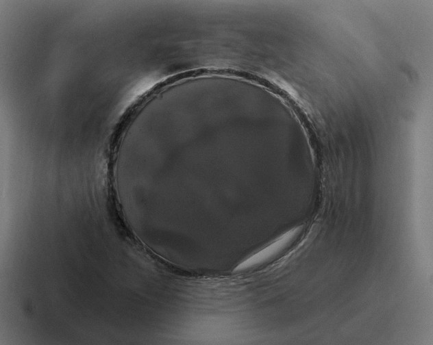 X0000116771263200912311831