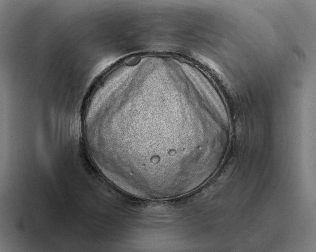 X0000116771267200912311831