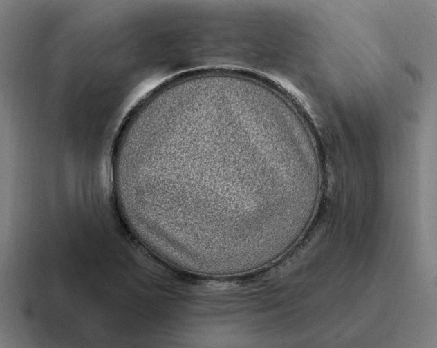 X0000116771271200912311831