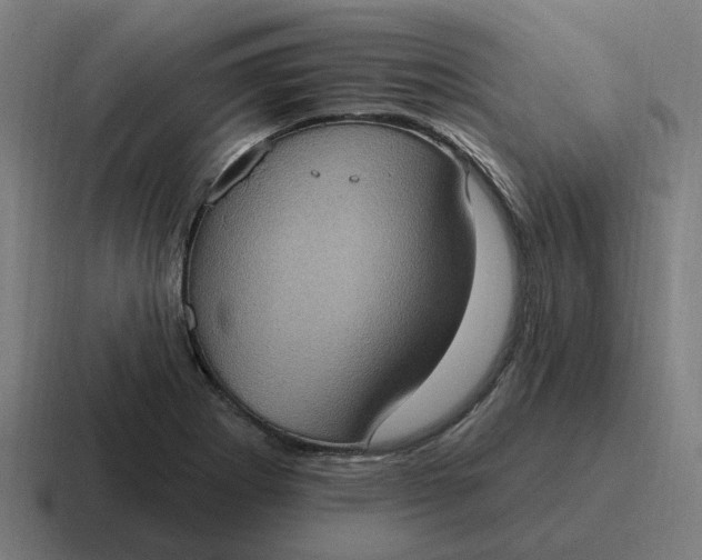 X0000116771273200912311831