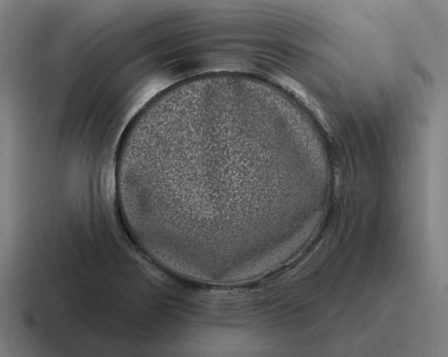 X0000116771274200912311831