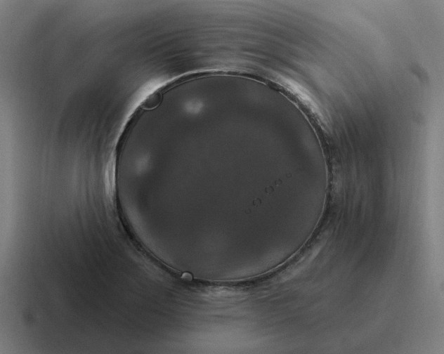 X0000116771275200912311831