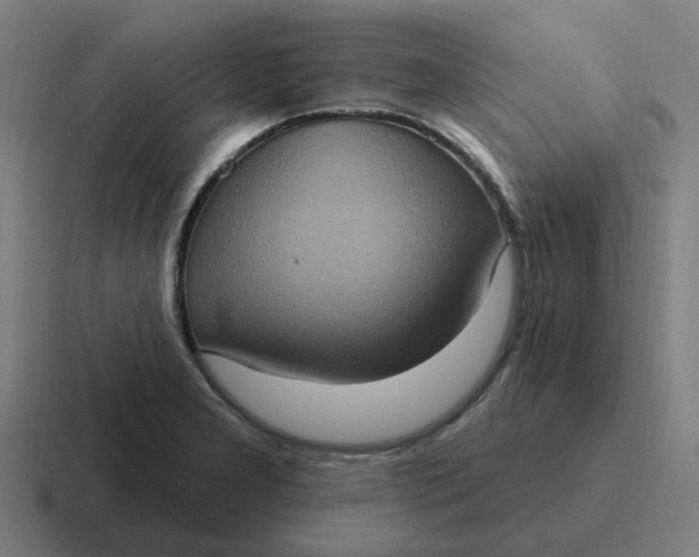 X0000116771277200912311831