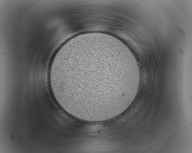 X0000116771278200912311831