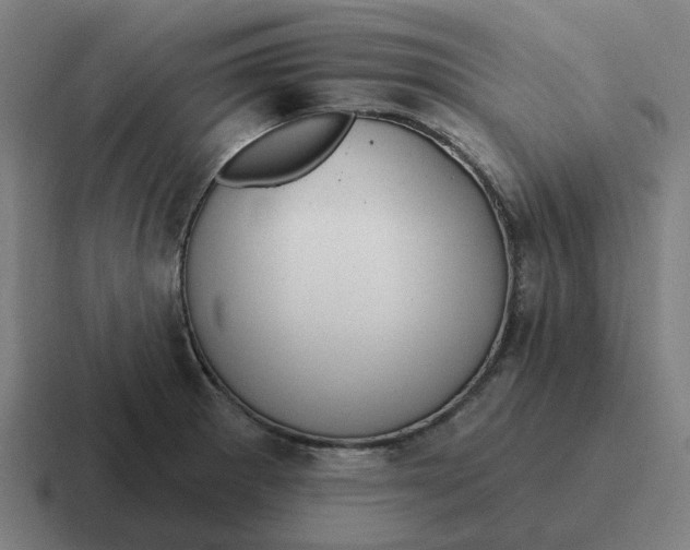 X0000116771281200912311831
