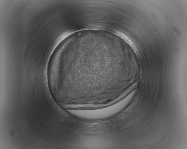 X0000116771283200912311831
