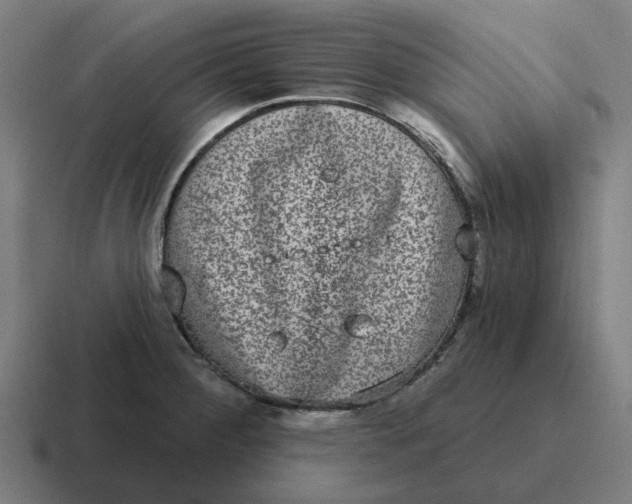 X0000116771284200912311831