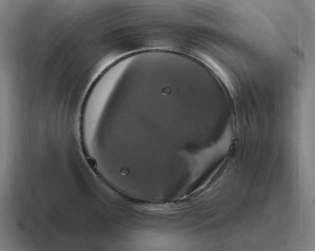 X0000116771291200912311831