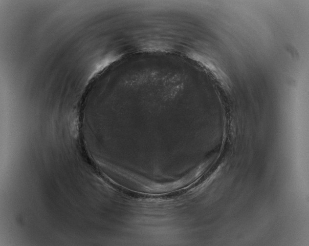 X0000116771306200912311830