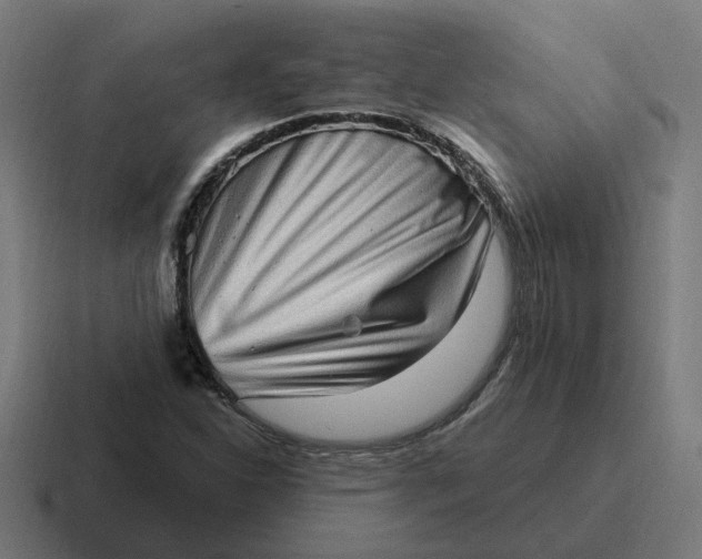 X0000116771310200912311830