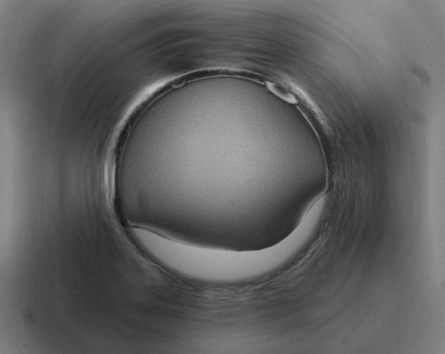 X0000116771323200912311830